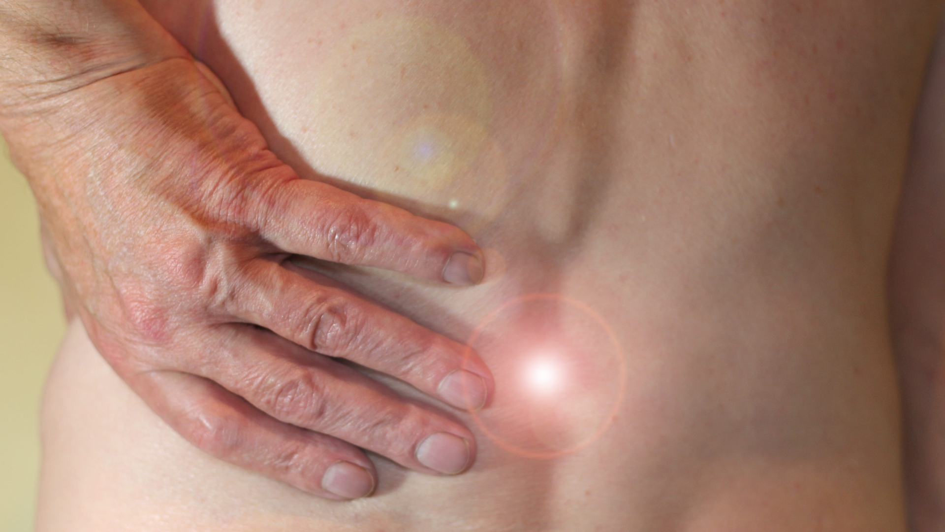 Causes of Low Back Pain - Mostfit Physiotherapy Center